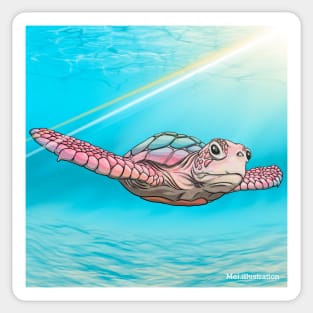 Rainbow Turtle Sticker